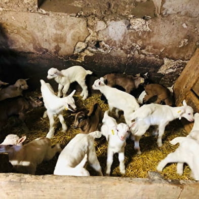 Ferme de la Fruitière