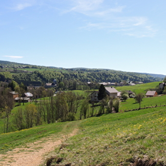 Sentier de la source de la Saine - FONCINE-LE-HAUT
