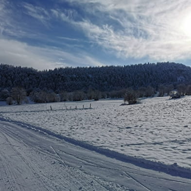 Apremont - Piste bleue de ski nordique