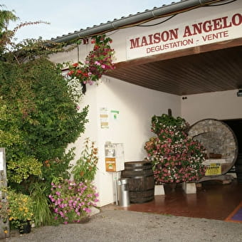 Maison Angelot - MARIGNIEU