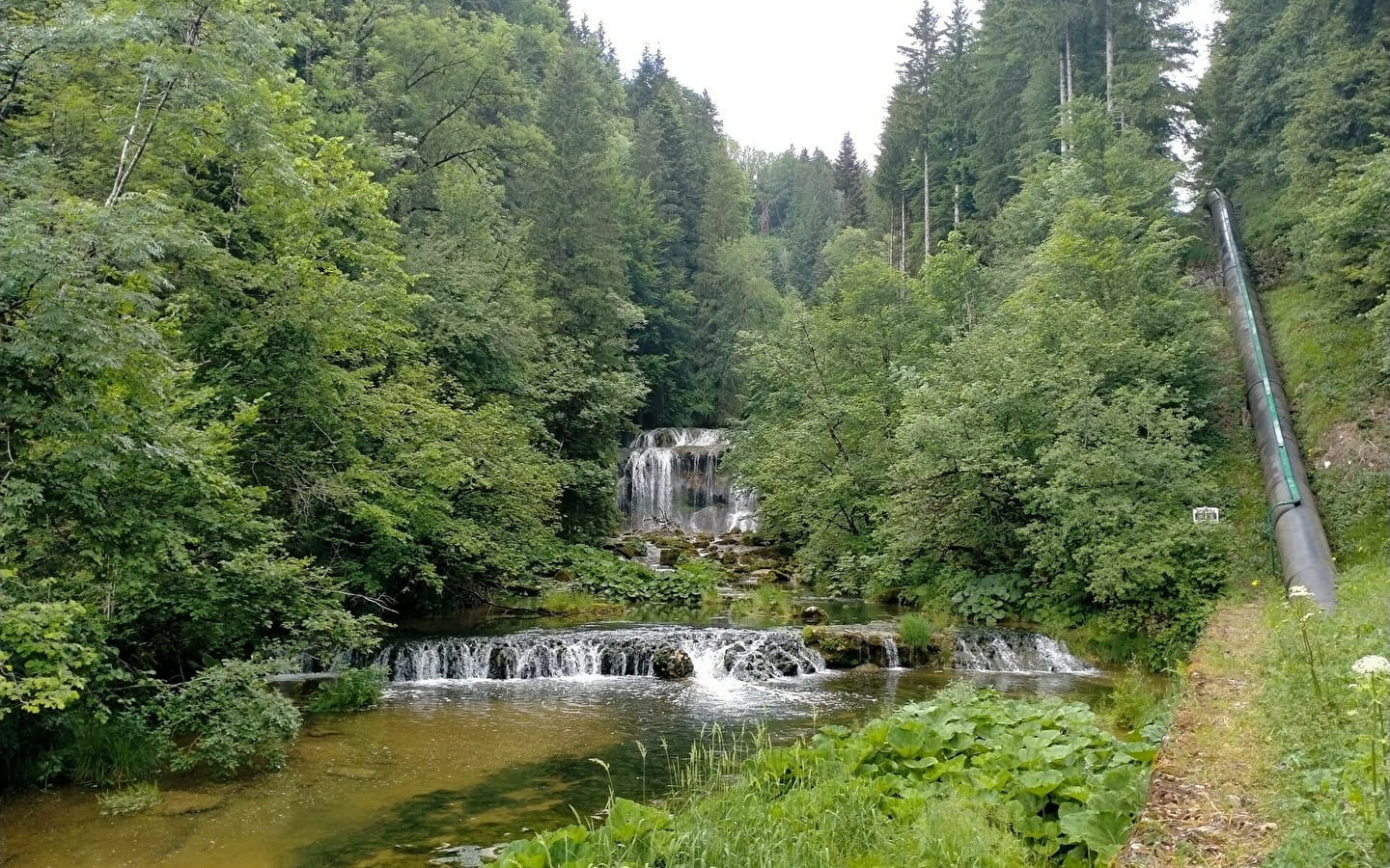 Source de l’Ain et cascade du Moulin du Saut 