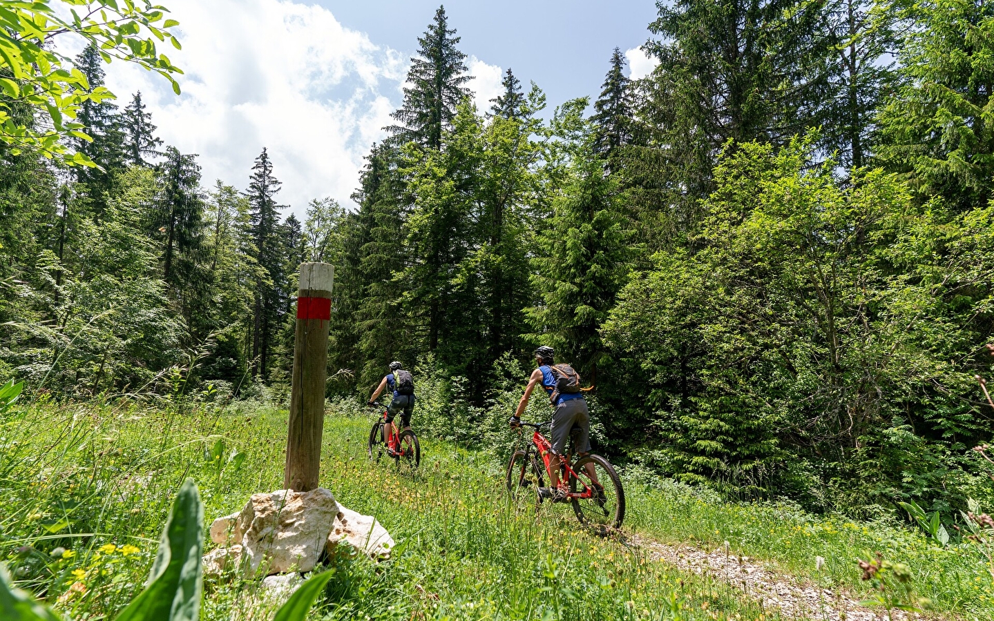 Sur les Gîts / Chapelle-des-Bois - 31B