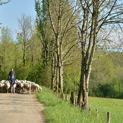 Au chant des Lulus