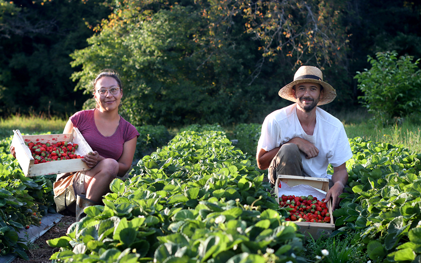 Visite d'une exploitation de fruits bio - Le Champ des Gourmands