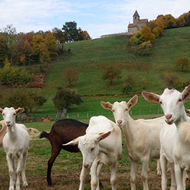 Relais équestre Ferme du Puits