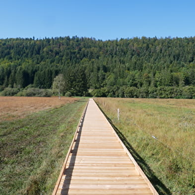 Marais de Vaux