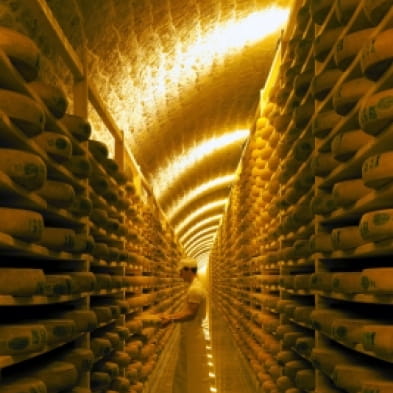 Caves d'affinage du Comté JURAFLORE au Fort des Rousses