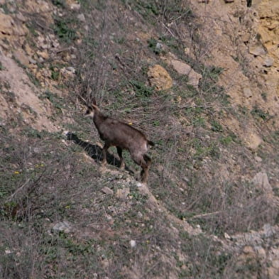 Carrière de Roissiat