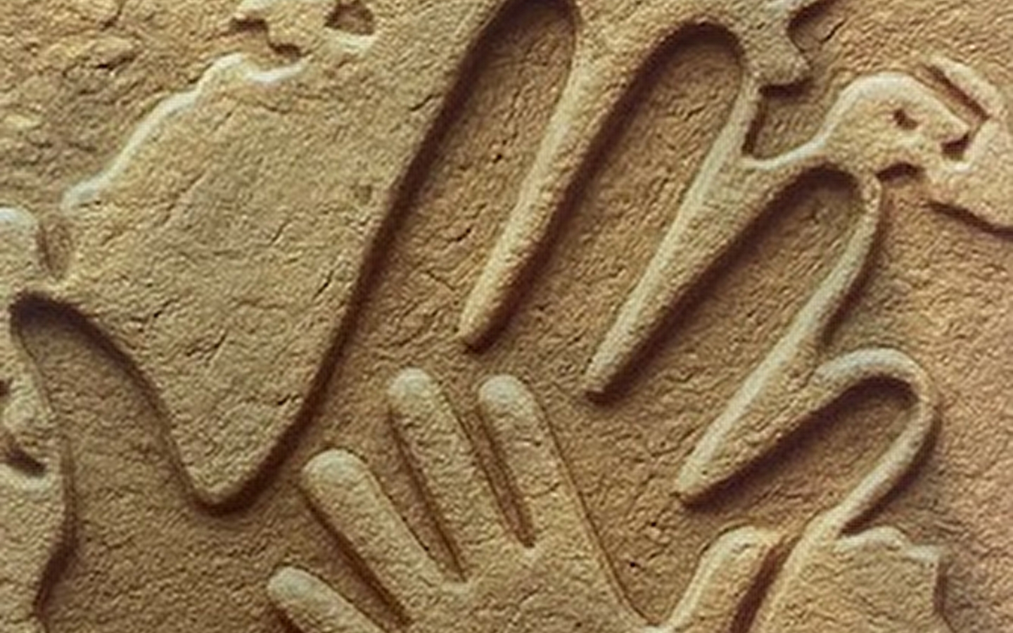 SORTIE NATURE EN FAMILLE