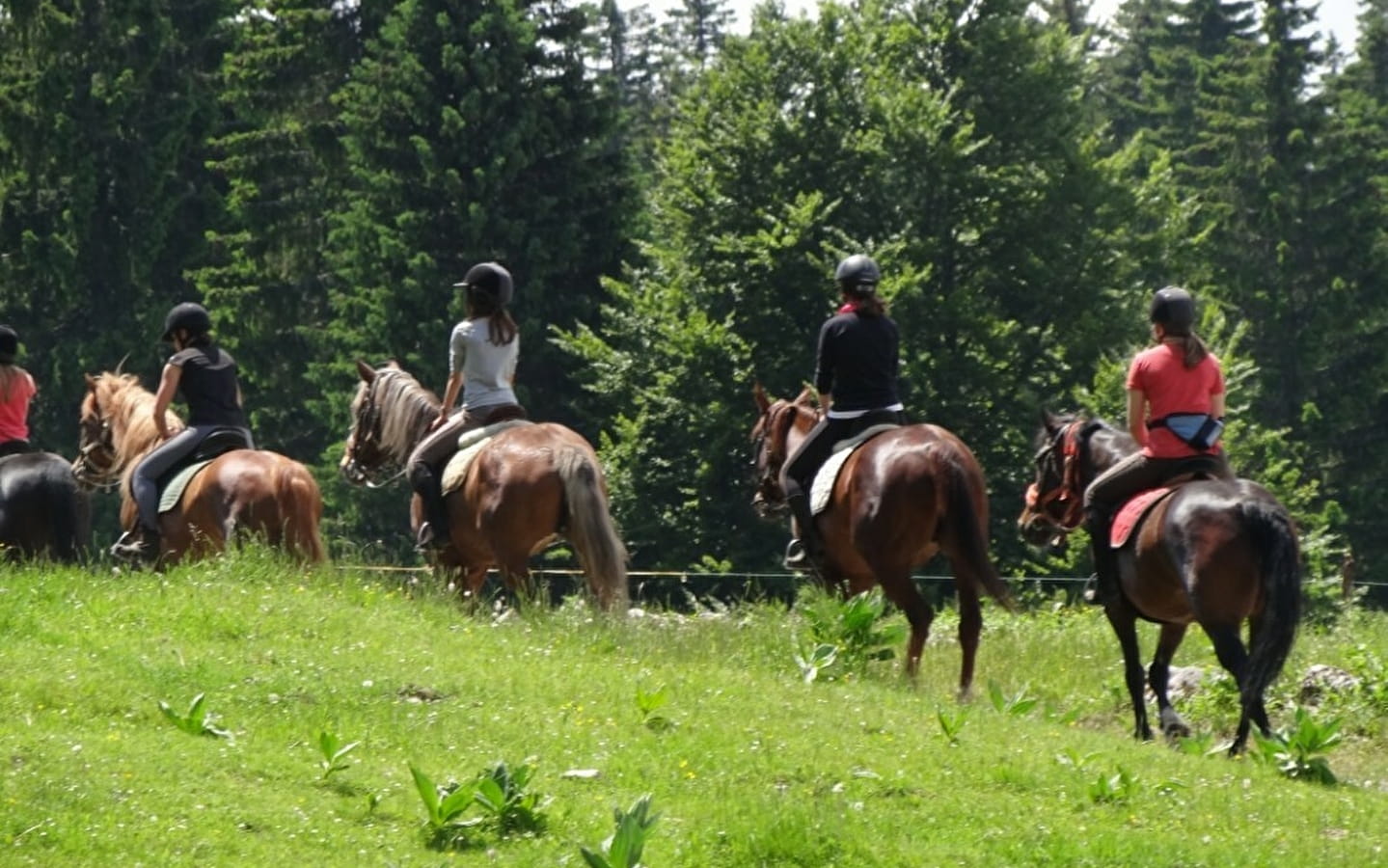 Mini rando à poney avec goûter