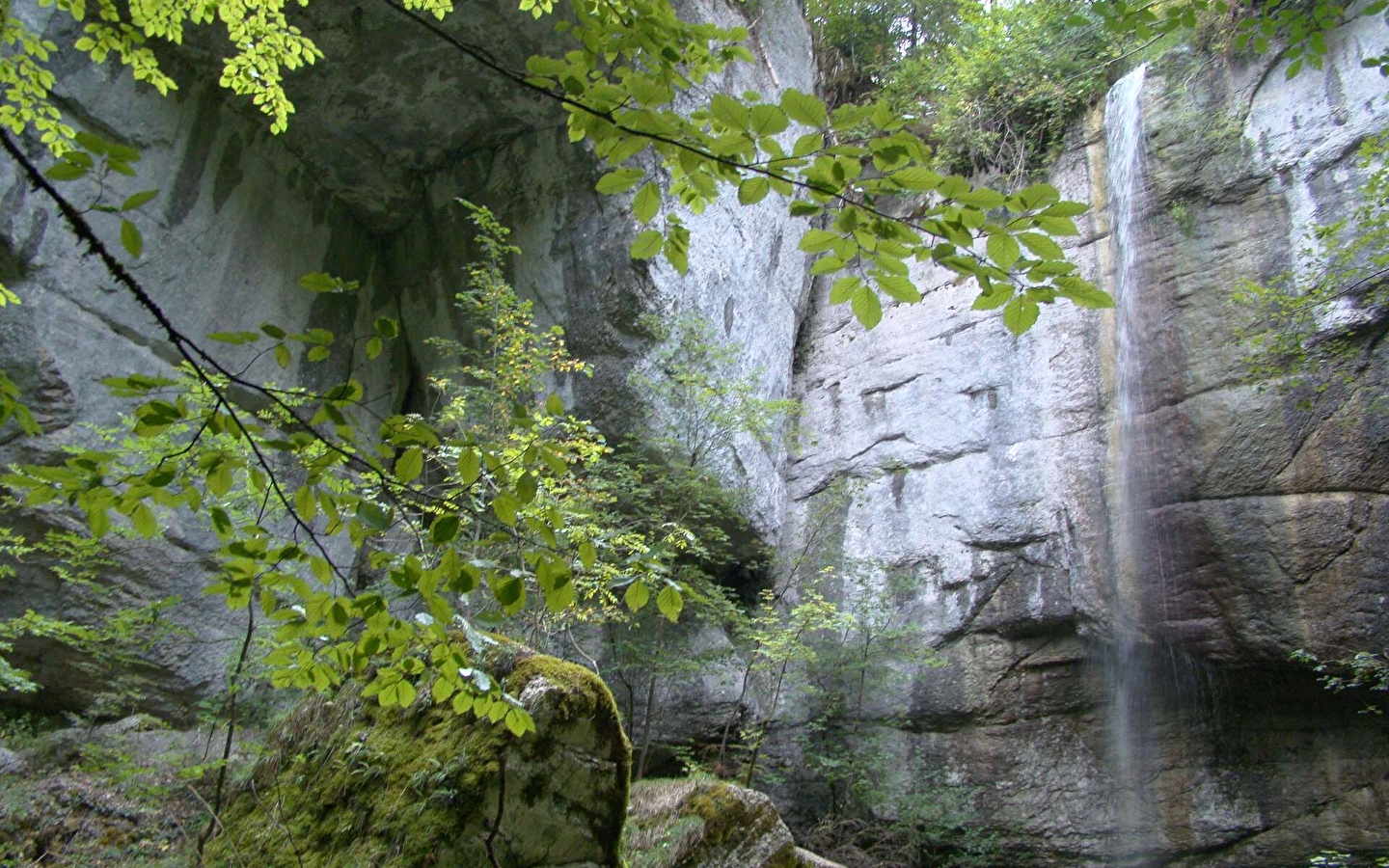 Ruisseau du Pissoux