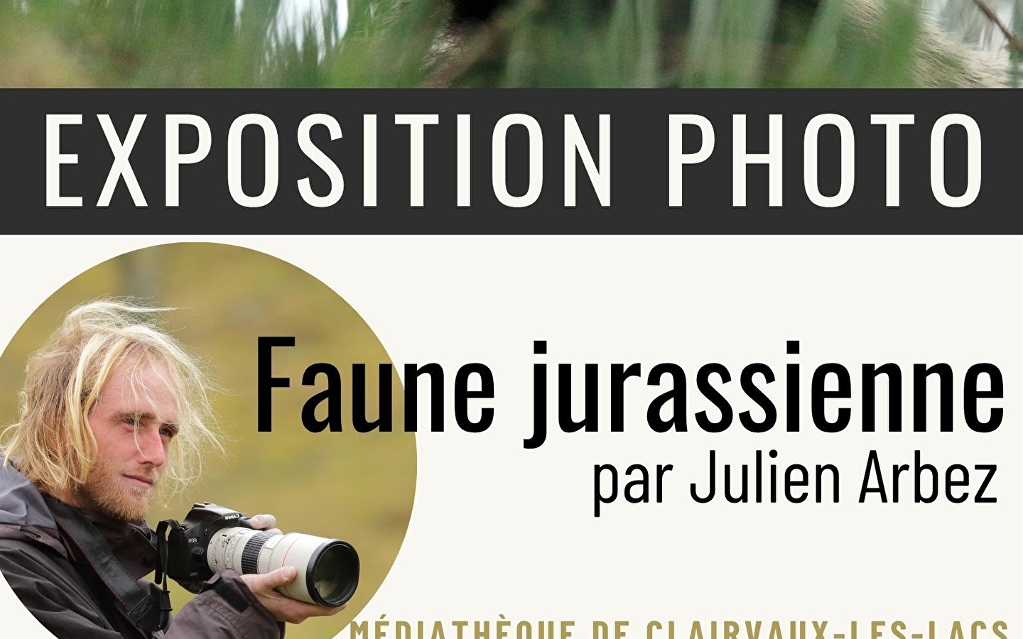 Exposition photo - faune jurassienne 