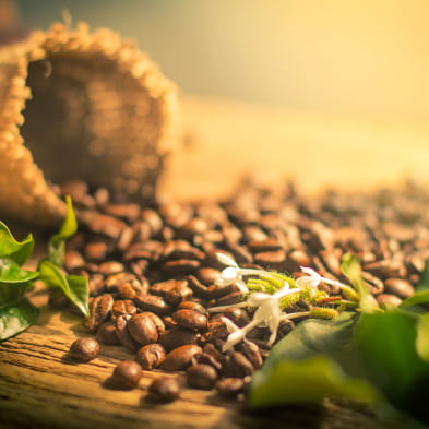 Techni-Café