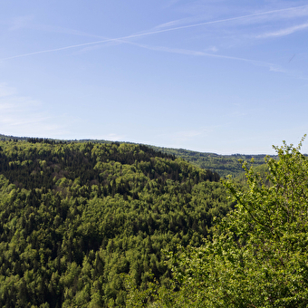 Les Cuisiniers - MORBIER