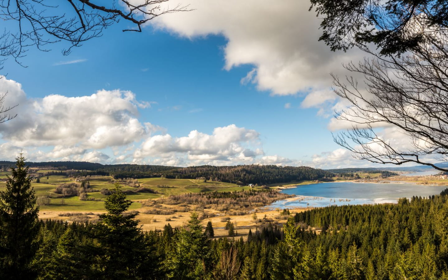 Réserve naturelle du lac de Remoray