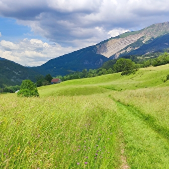 Randonnée pédestre : sur les pas des moines - CHEZERY-FORENS