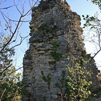 Balade - Ruines du château de Montfort - VAL-REVERMONT