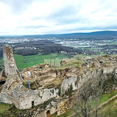 Visites guidées du château de Montfaucon