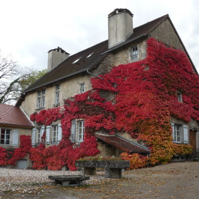 Domaine Berthet-Bondet