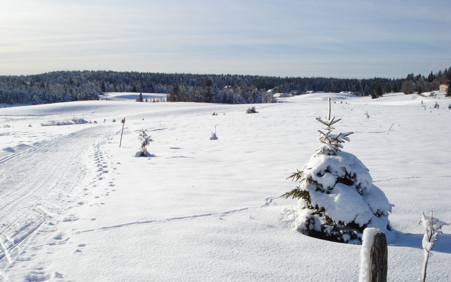 Site Nordique de Bellefontaine