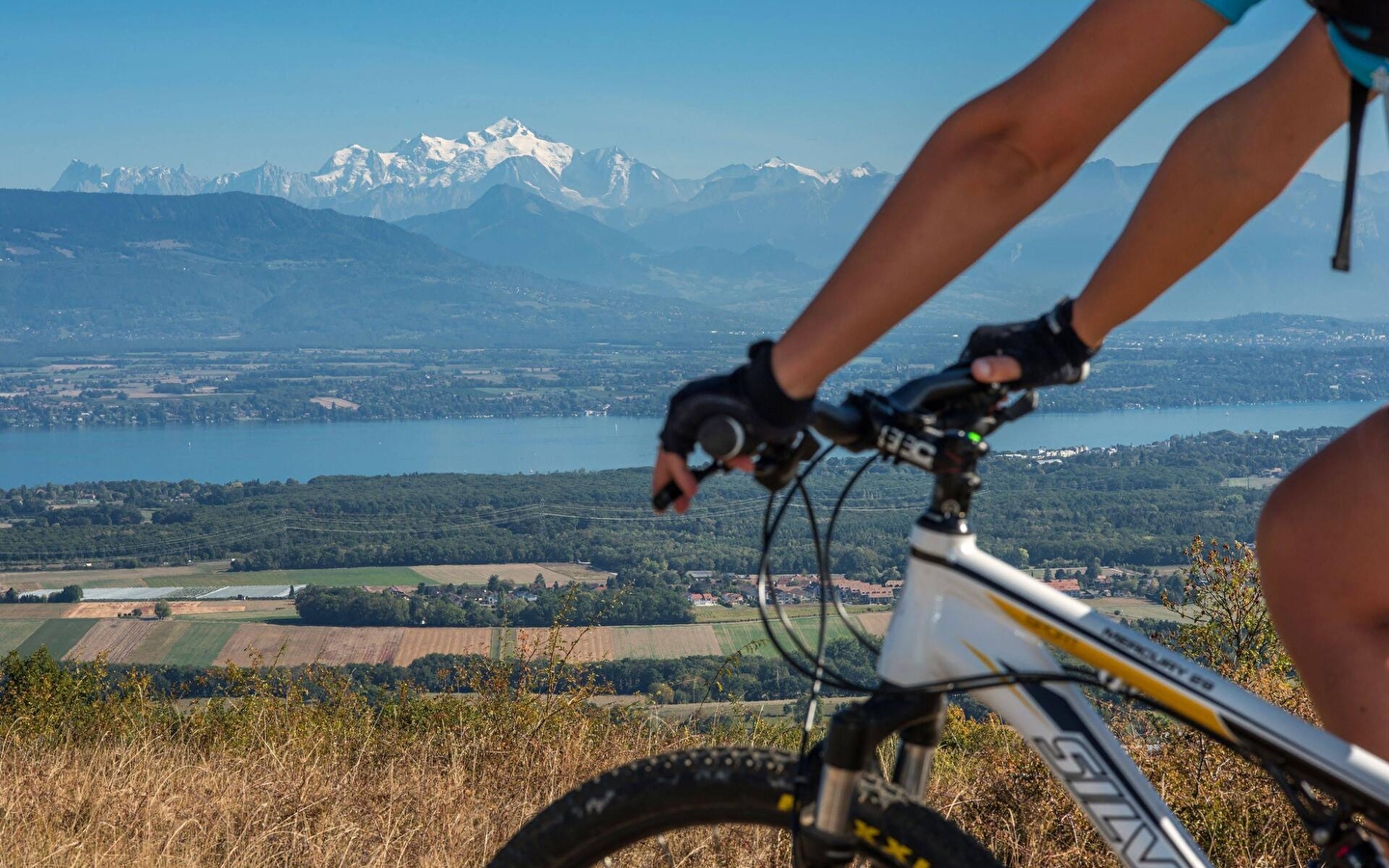 Parcours VTT 80 - vert - les Devins - Espace FFC Ain Forestière