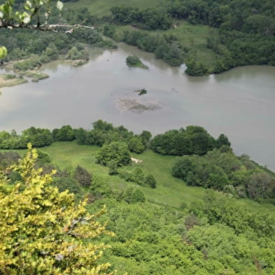 Château de Conflans