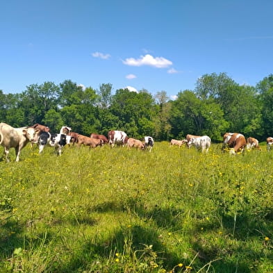 Gaec 'Ferme sur la Tour'