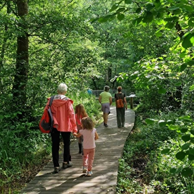Sentier thématique : Marais des Bidonnes