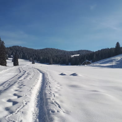 Site Raquettes de Mouthe - Chez Liadet - Les Combes Derniers