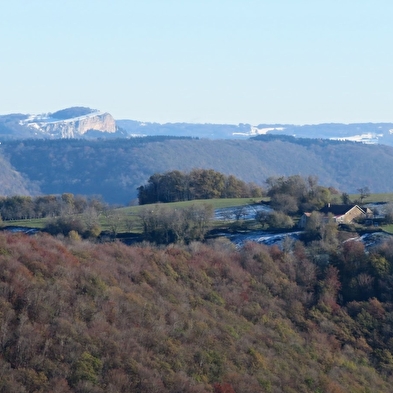 Baume Bourla