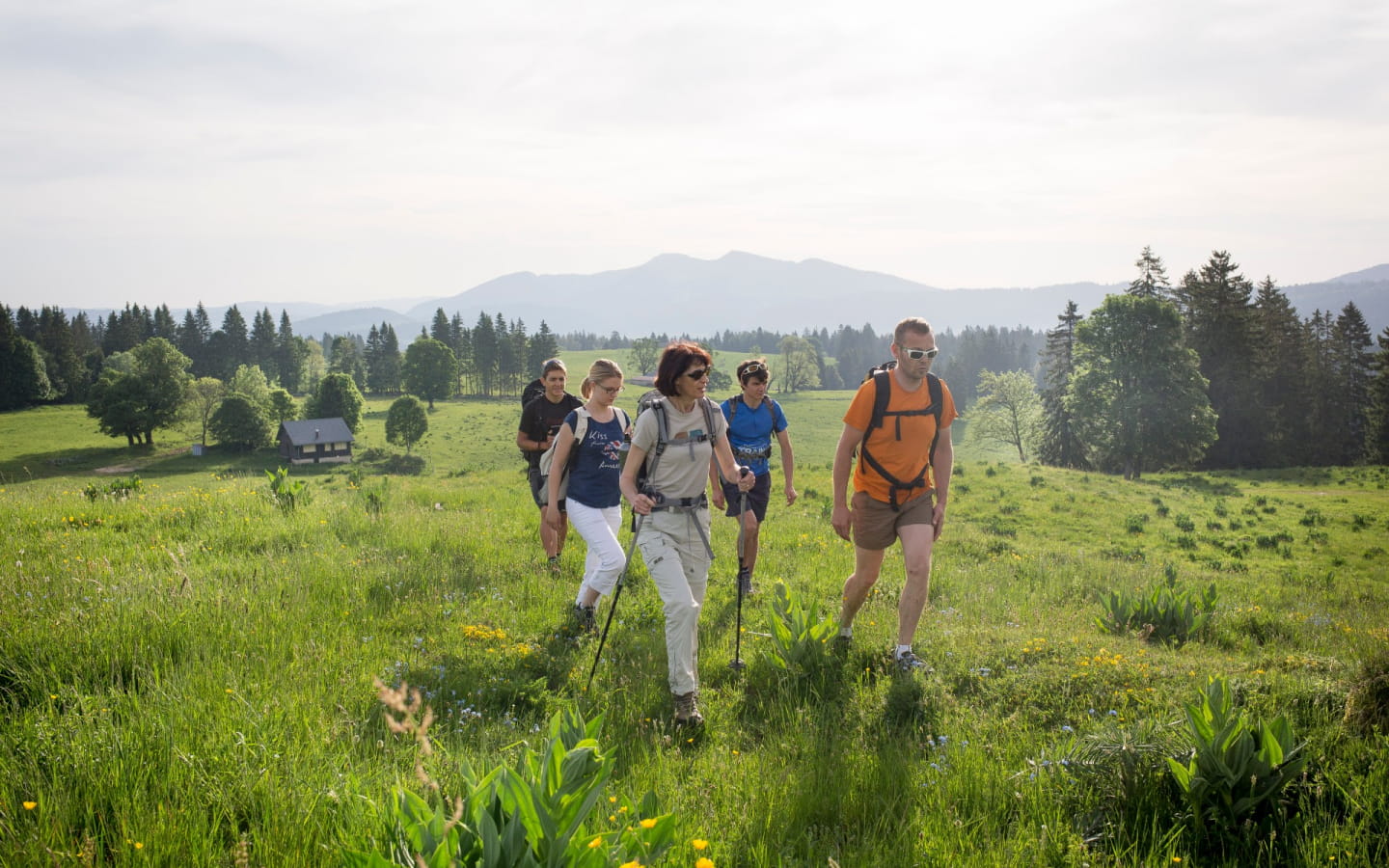 Trek sur les crêtes du Jura
