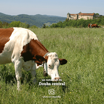 La Petite Cave - BELVOIR