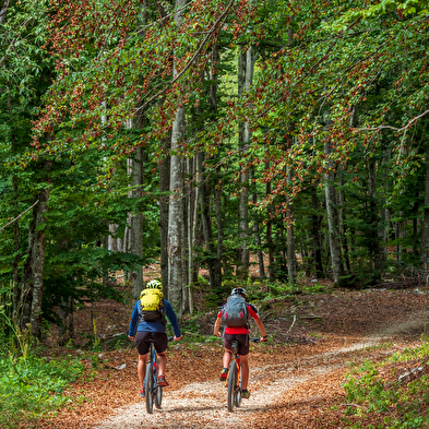 Grande Traversée du Jura VTT