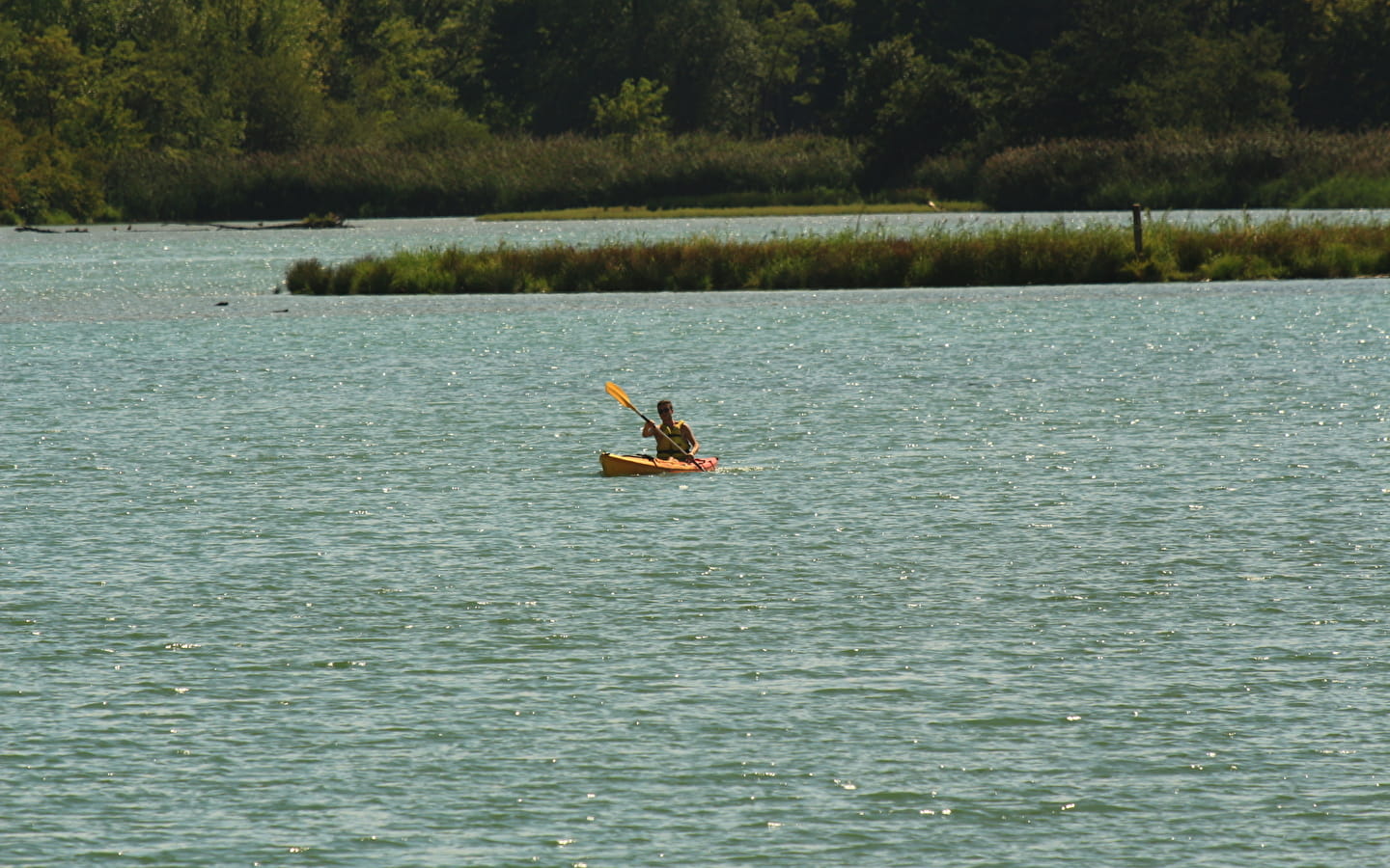 Canoë Kayak : descentes du vieux Rhône - la Petite