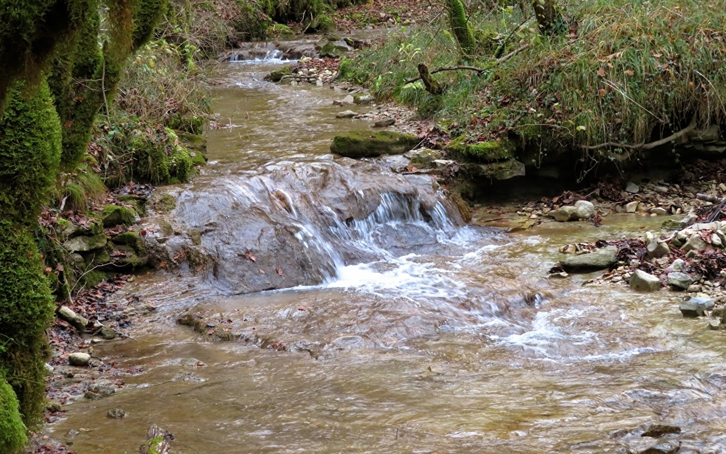 Ruisseau de Cornebouche