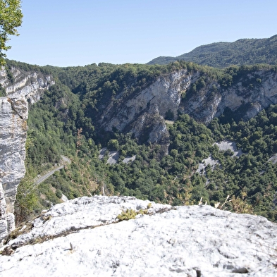 Circuit des vignes à Cerdon