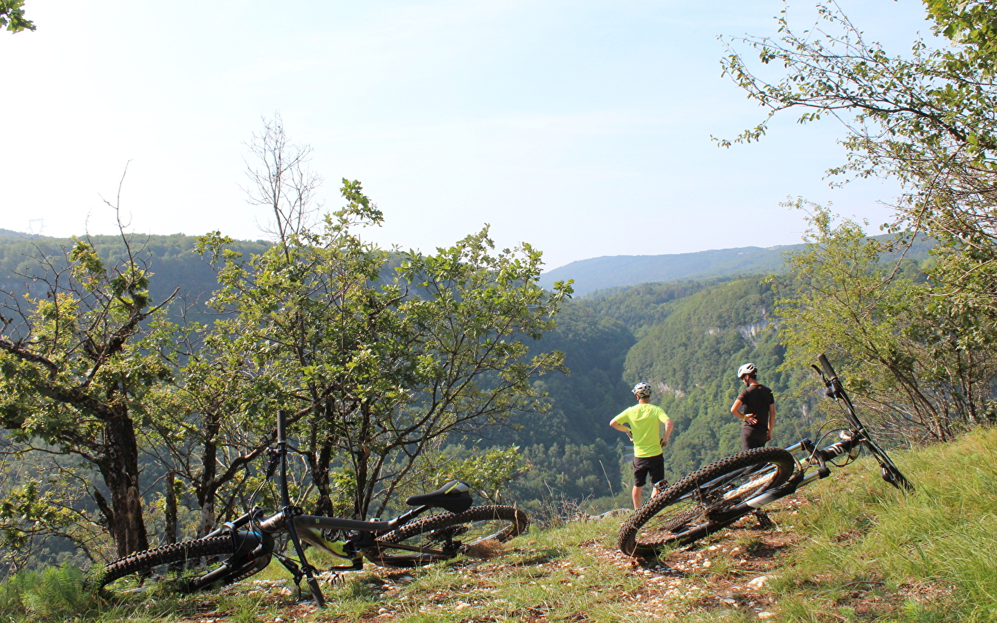Parcours VTT 52 bleu - Les Crêtes de Charabotte - Espace FFC Ain Forestière