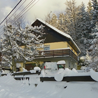Meublé les Sapins - Mme Gay-Thevenin - MORBIER