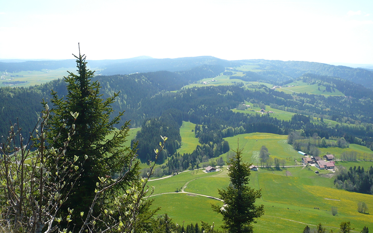 Mont Châteleu