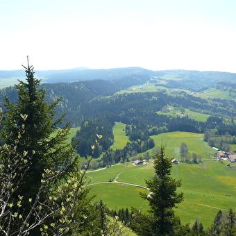 Mont Châteleu - LES GRAS