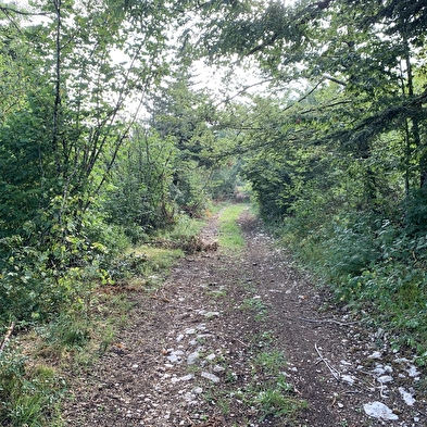 Randonnée - Le sentier du Macretet
