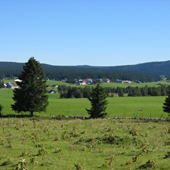 Chez Michel ou la Tourbière - CHAPELLE-DES-BOIS