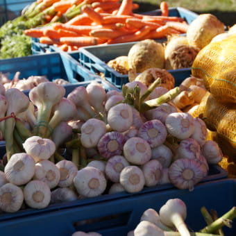 Marché des Saisons - QUINGEY