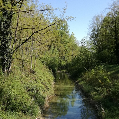 Sentier des lônes et îles du Haut-Rhône