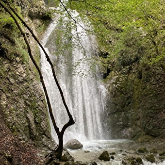 Randonnée pédestre : Forens - la cascade de l'Etrès - CHEZERY-FORENS