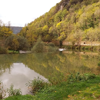 Aire de pique-nique du plan d'eau