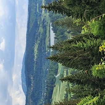 Les Granges-Dessus - n°81 - GRANGES-NARBOZ