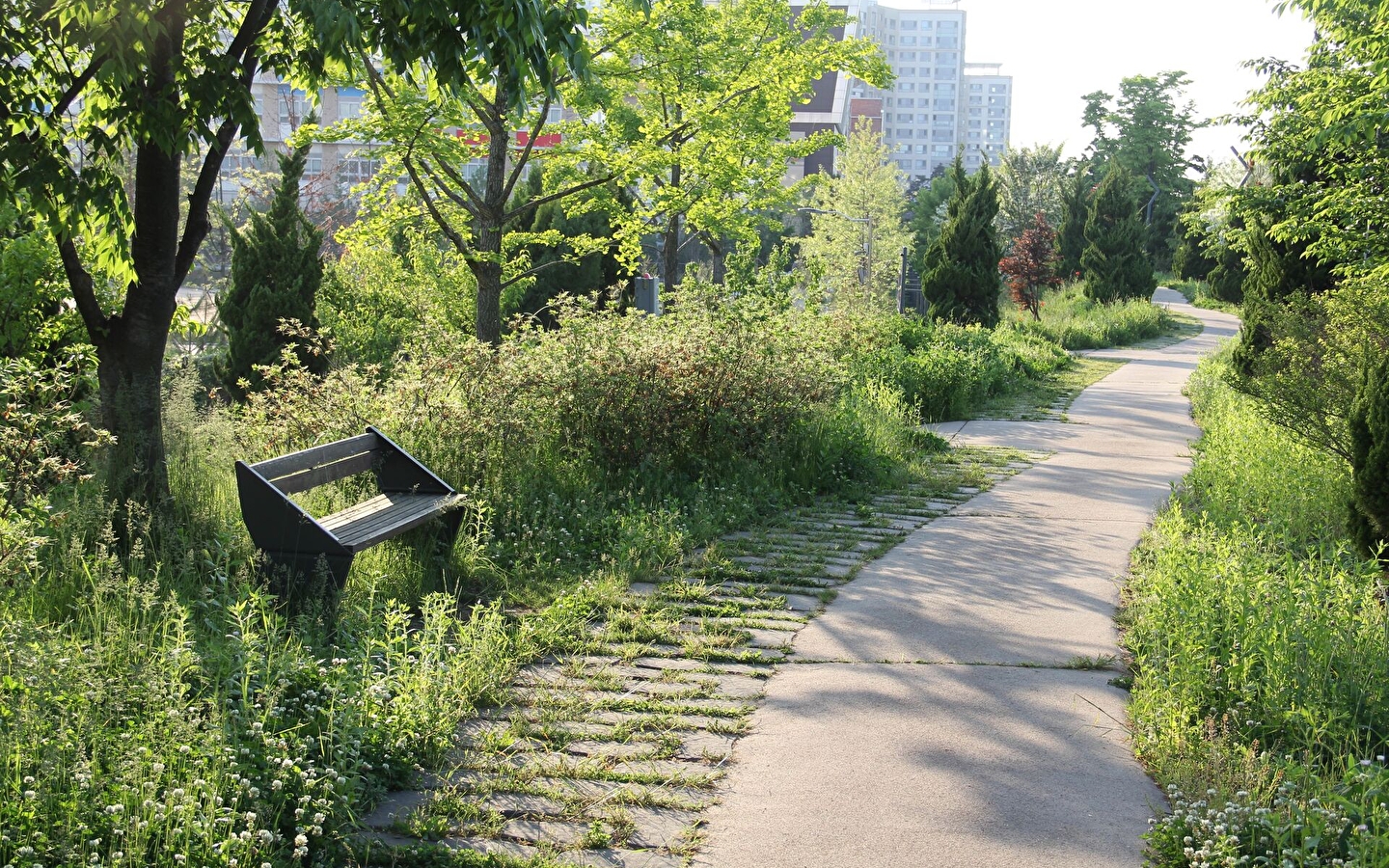 Rencontre : la gestion différenciée des espaces verts - Nuits de la lecture