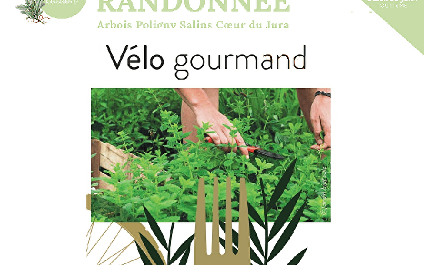Vélo gourmand