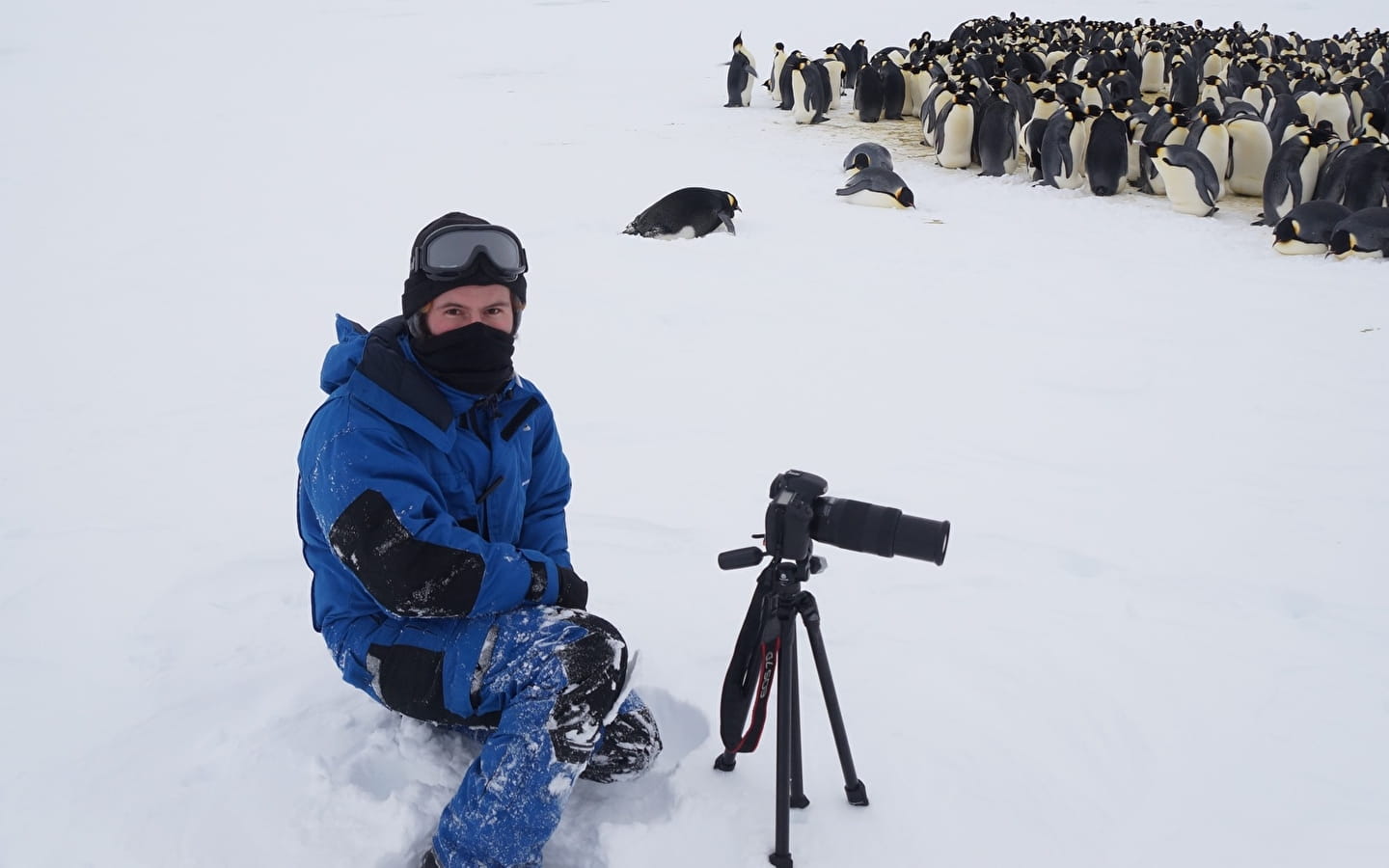 Conférence « 14 mois en Antarctique » de Alexis Carron, écologue naturaliste